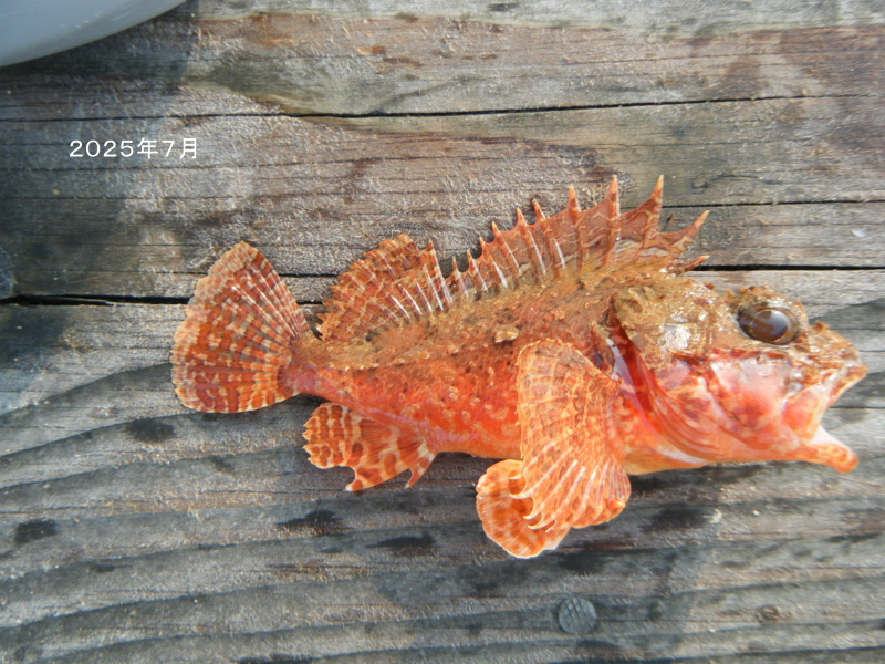 img20250810152129421709.jpg